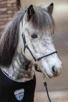 Leren Halster, &#039;&#039;Frigg&#039;&#039;, donkerblauw maat Cob