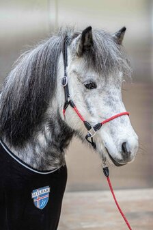 Leren Halster, &#039;&#039;Frigg&#039;&#039;, rood maat Cob