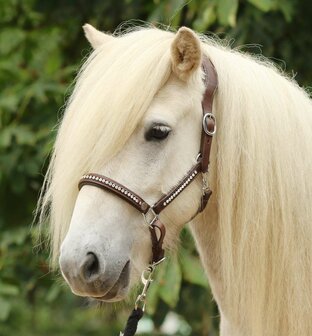 Leren Halster Anatomisch &quot;Crown Diamond&quot; (bruin) COB