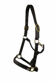 Leren Halster, &#039;&#039;Diamond&#039;&#039;, donkerbruin maat Cob