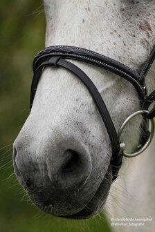 HILBAR Gecombineerde Neusriem met Witte Siernaad (Chromen Gespen)