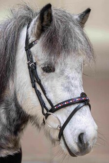 Hilbar Royal Exclusief gecombineerde Neusriem &quot;Ragnar&quot; met rode voering