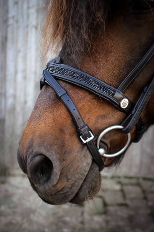 Hilbar Royal Exclusief gecombineerde Neusriem "Black Rocks" 