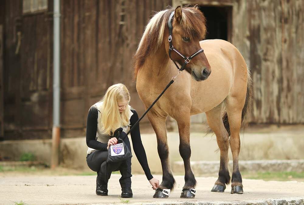 Onderhoud-en-accessoires