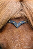 HILBAR Kopstuk "Gold Diamond" (Messing gespen)