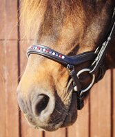 "Ragnar" HILBAR anatomischer Nasenriemen