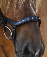 HILBAR Royal Exclusief anatomische neusriem "Freya" , zwart