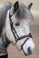 Hilbar Royal Exclusief gecombineerde Neusriem "Ragnar" met rode voering