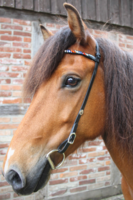 HILBAR Kopstuk "Rekjavik" 