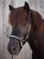 "Mysla" HILBAR anatomische neusriem